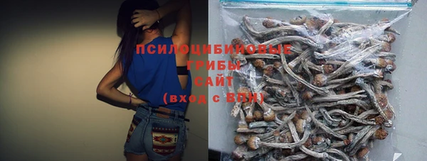 спайс Осинники