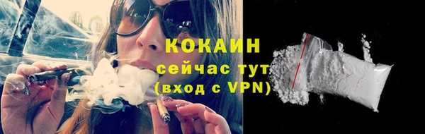 PSILOCYBIN Михайловка