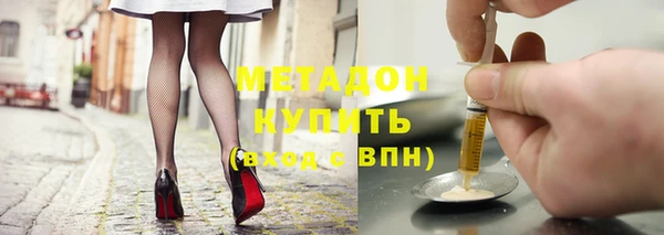 прущие грибы Няндома