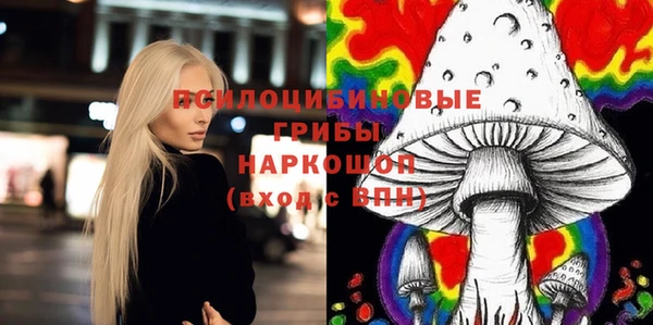 ПСИЛОЦИБИНОВЫЕ ГРИБЫ Навашино