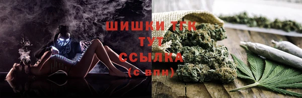 ПСИЛОЦИБИНОВЫЕ ГРИБЫ Навашино